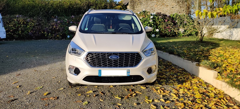 kuga2vignale2.jpg