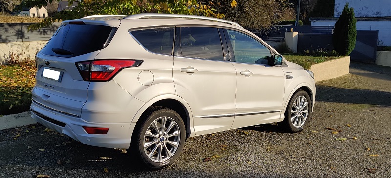 kuga2vignale3.jpg