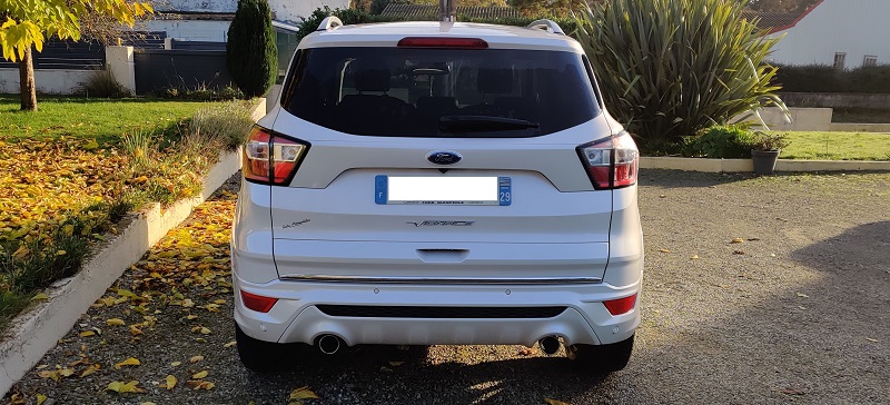 kuga2vignale4.jpg